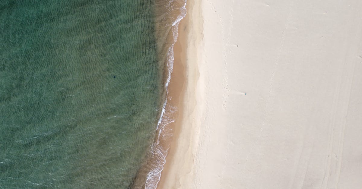 découvrez la couleur beige, une teinte douce et élégante qui apporte chaleur et neutralité à votre décoration, votre mode ou votre design.