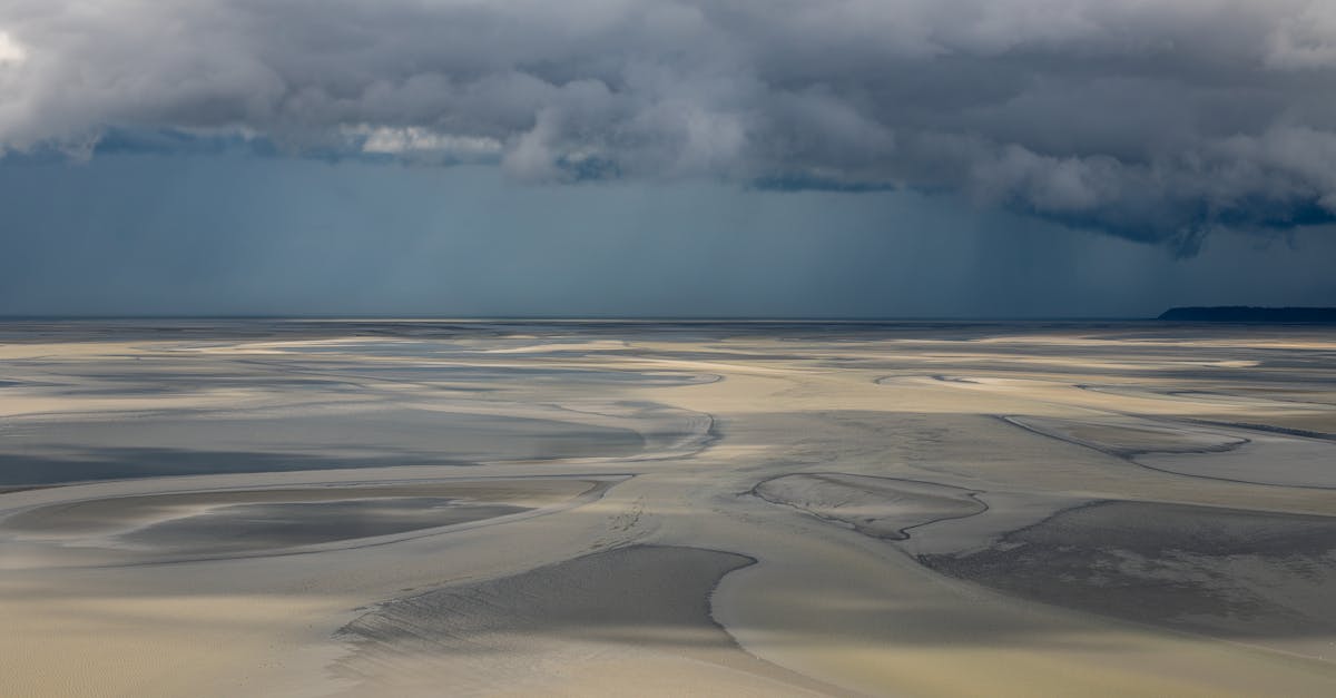 découvrez le meilleur duvet en france pour 2025 : confort, qualité et chaleur garantis pour des nuits douces et réparatrices.