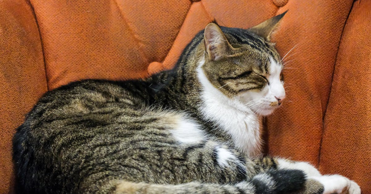 améliorez votre bien-être quotidien avec nos solutions innovantes pour un confort optimal à la maison.