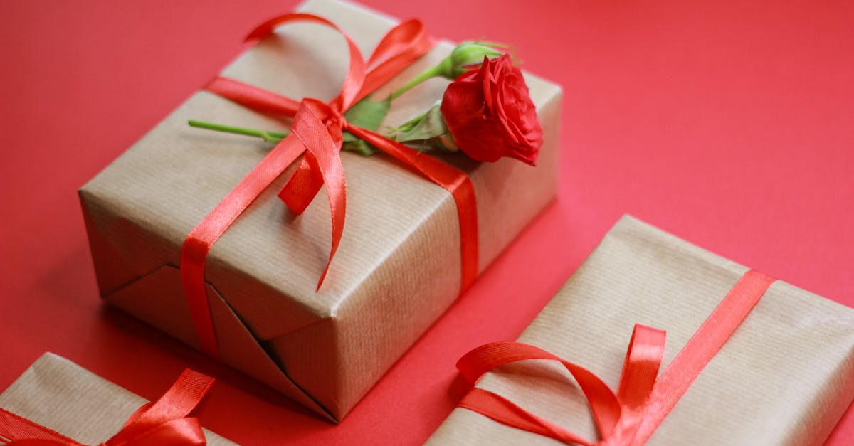 découvrez notre sélection exclusive de décorations de luxe alliant élégance et raffinement pour sublimer votre intérieur.