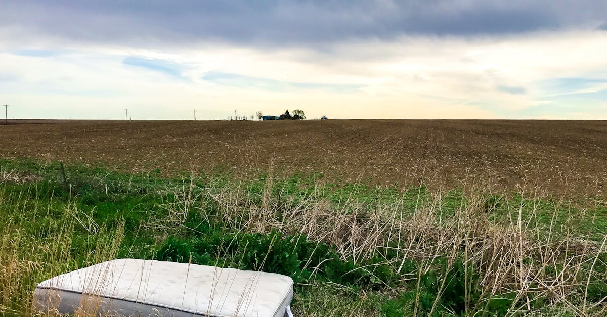 découvrez notre gamme de matelas confortables et de qualité pour un sommeil réparateur. trouvez le matelas idéal qui s'adapte à vos besoins et améliore votre bien-être chaque nuit.