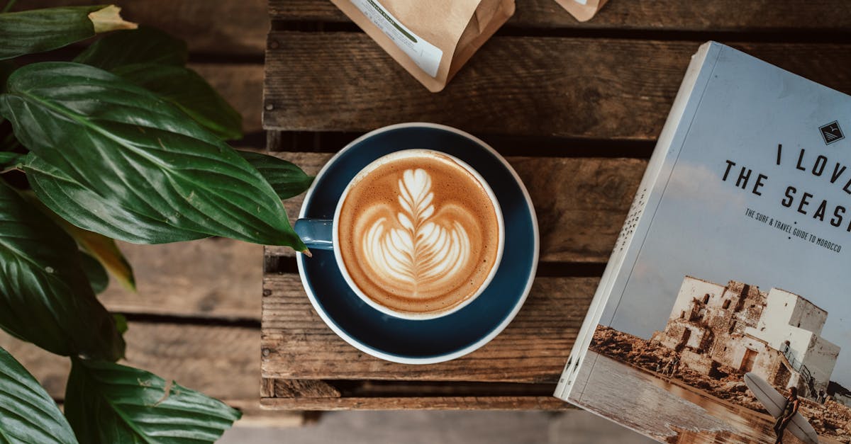 découvrez notre guide complet sur les oreillers en mousse à mémoire de forme pour un sommeil optimal et un confort personnalisé.