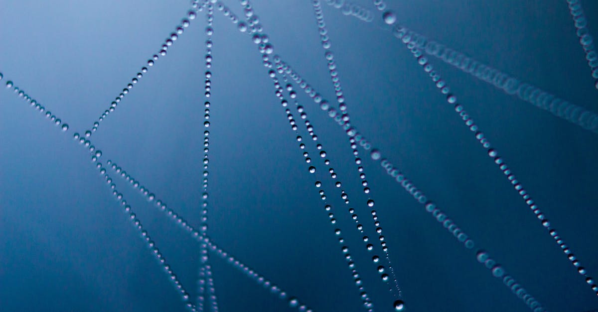 découvrez nos conseils efficaces pour éloigner les moustiques et profiter pleinement de vos soirées d'été sans piqûres.